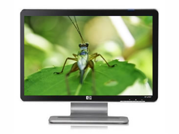 Monitor HP 21'